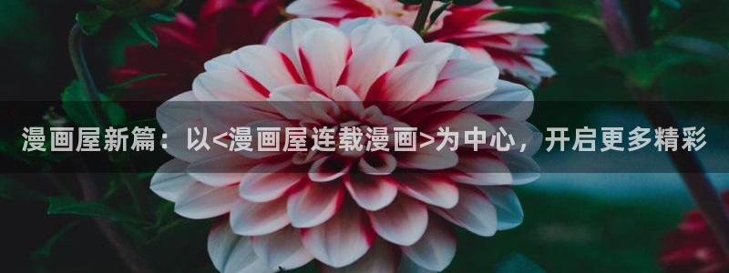 漫画免费看漫画资源大全：漫画屋新篇：以<漫画屋连载漫画>为中心，开启更多精彩
