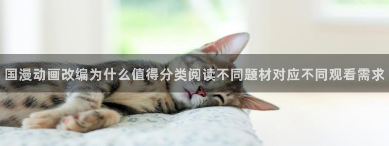 漫画免费看网站入口:国漫动画改编为什么值得分类阅读不同题材对应不同观看需求